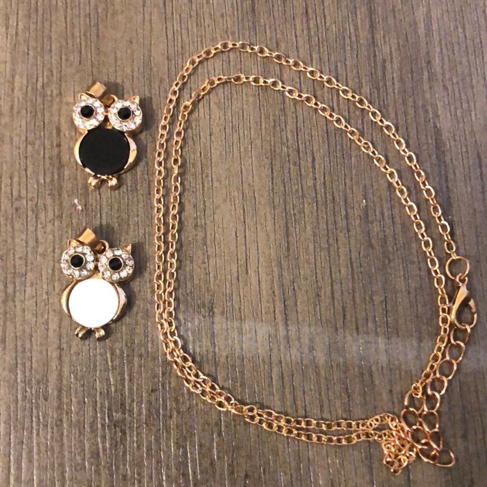 Beautiful black and white owl necklace